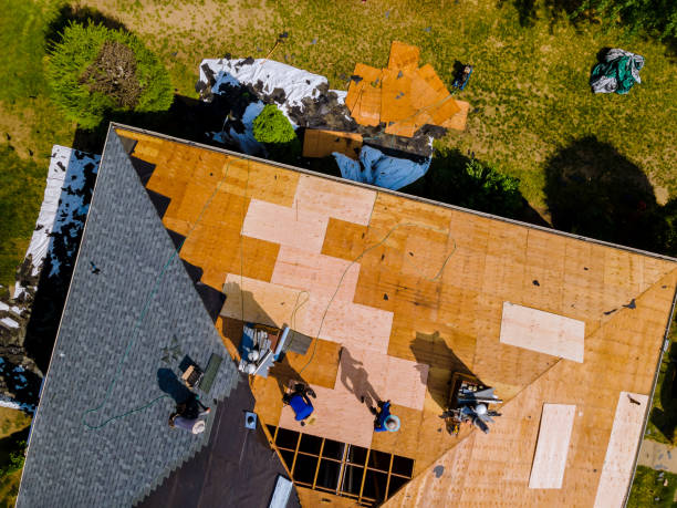 Best Commercial Roofing Services  in Telford, TN