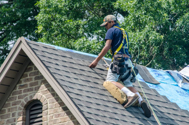 Best Roof Maintenance Services  in Telford, TN
